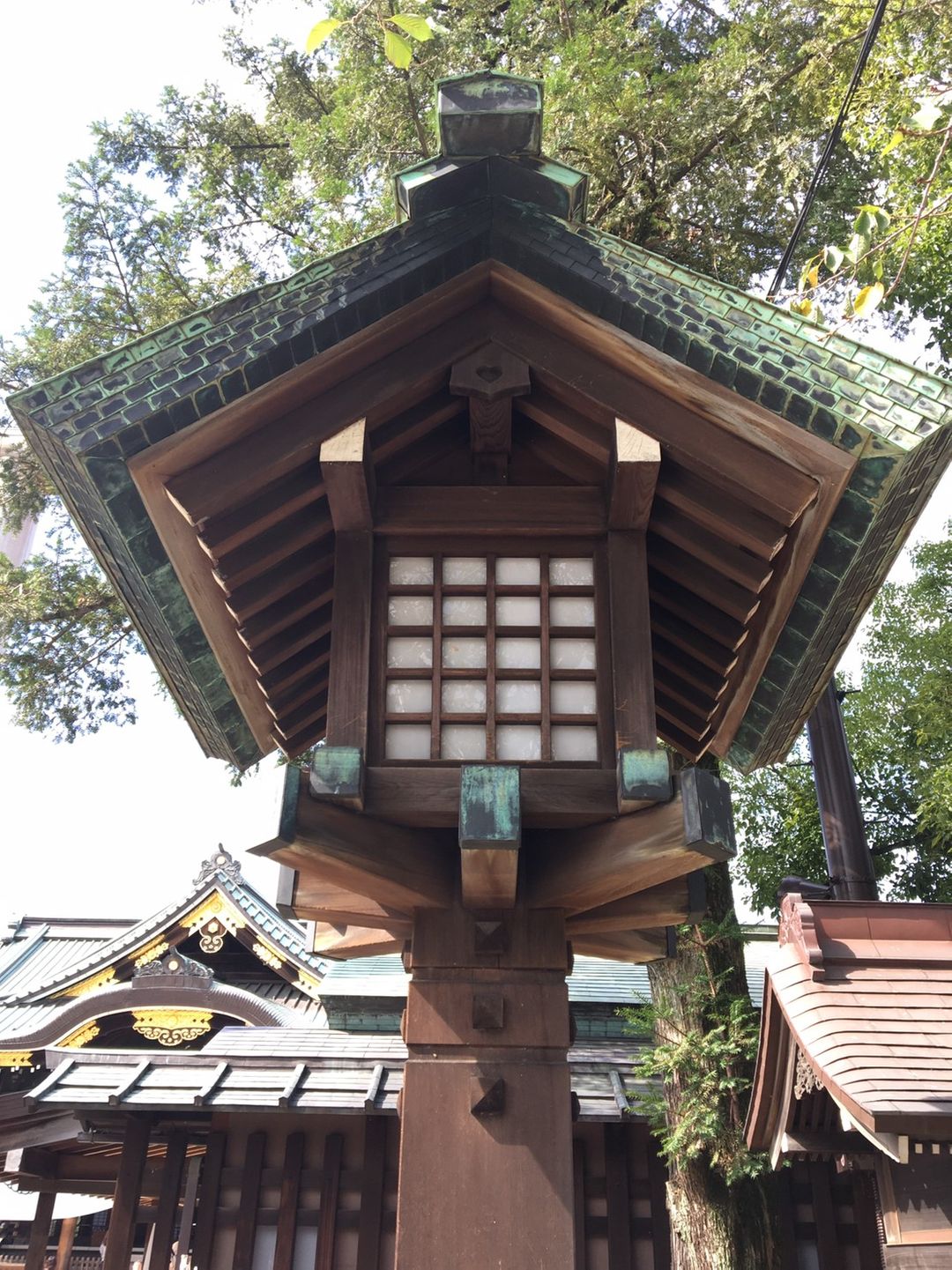 發現一顆愛心。自從去過戀木神社後，總會不自覺啟動尋找愛心模式~