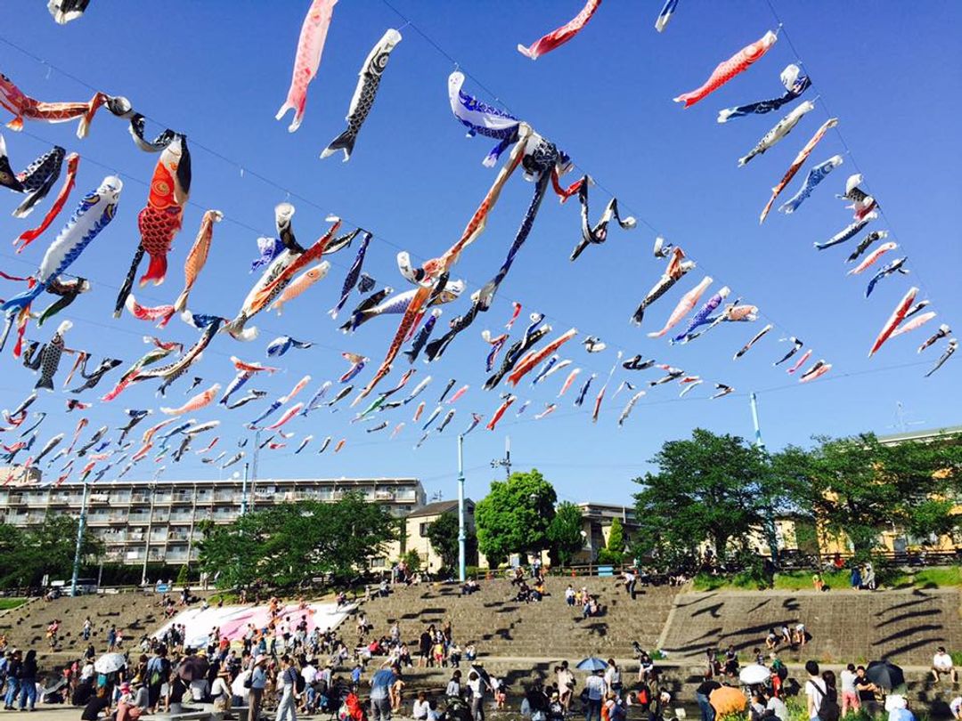 高槻的鯉魚旗慶祝兒童節