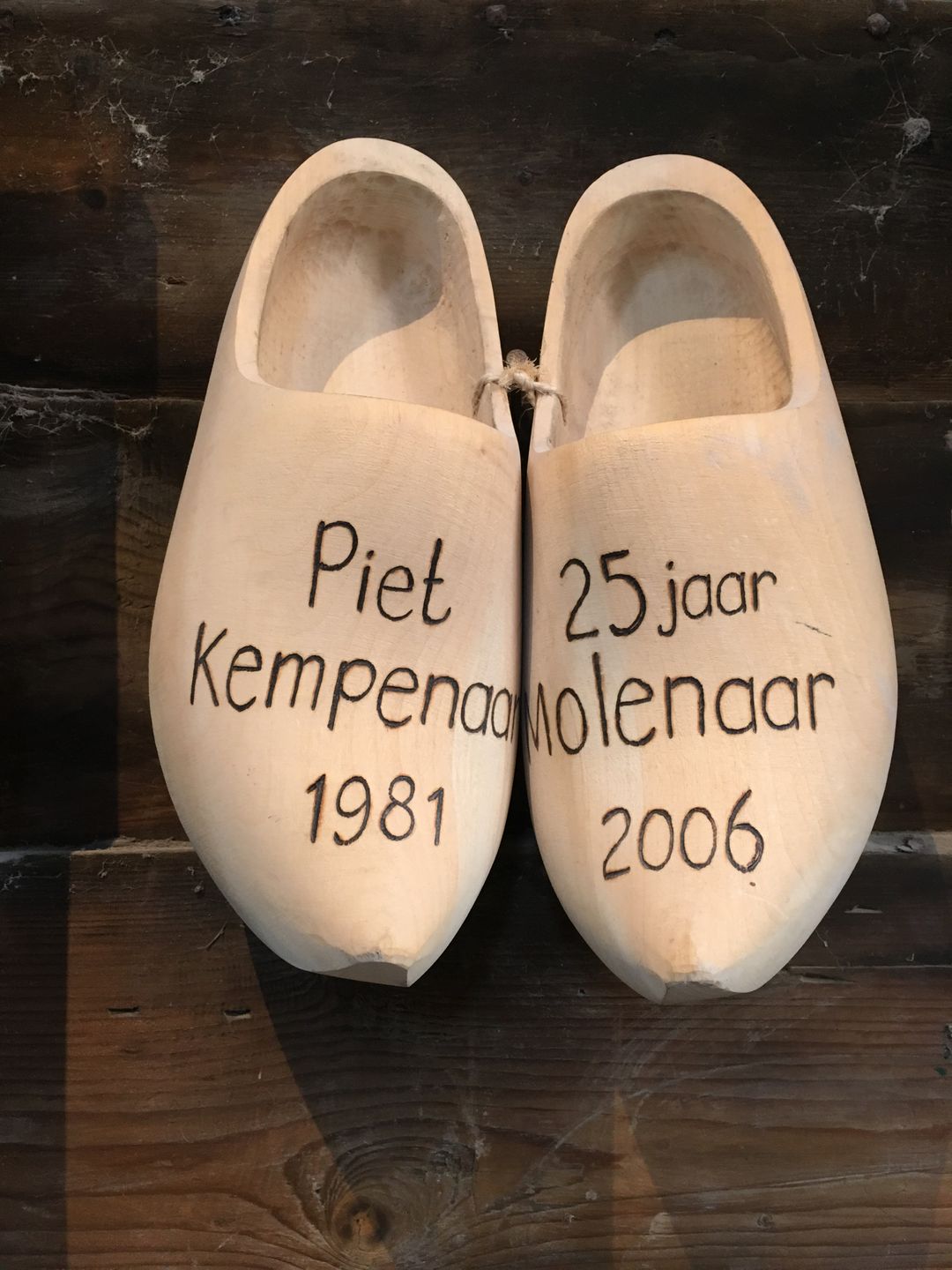 (屬於荷蘭的傳統木鞋)