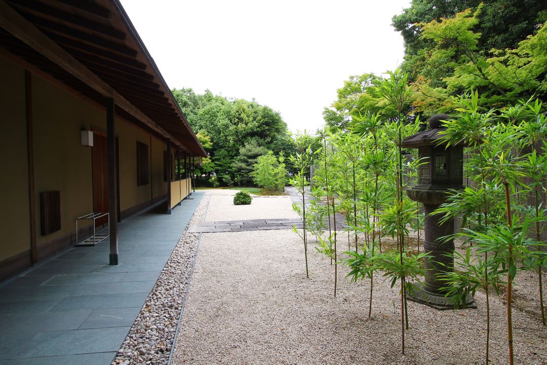 美術館旁的茶室與日式庭園，好美。茶室可以入內