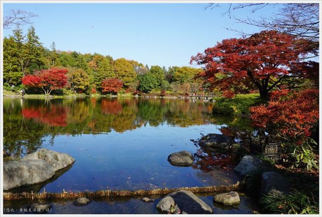 東京 自行車漫遊上 昭和紀念公園 日本庭園紅葉 日本 東京 關東 旅行酒吧