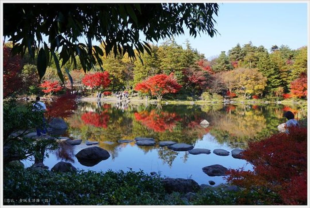 東京 自行車漫遊上 昭和紀念公園 日本庭園紅葉 日本 東京 關東 旅行酒吧