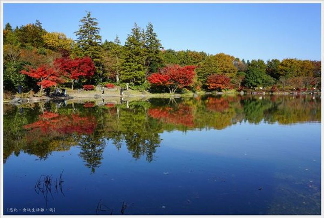 東京 自行車漫遊上 昭和紀念公園 日本庭園紅葉 日本 東京 關東 旅行酒吧