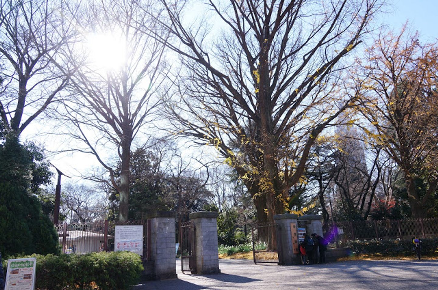 東京冬季旅行第二天 新宿御苑 原宿表參道 梅丘寿司の美登利 日本 東京 關東 旅行酒吧