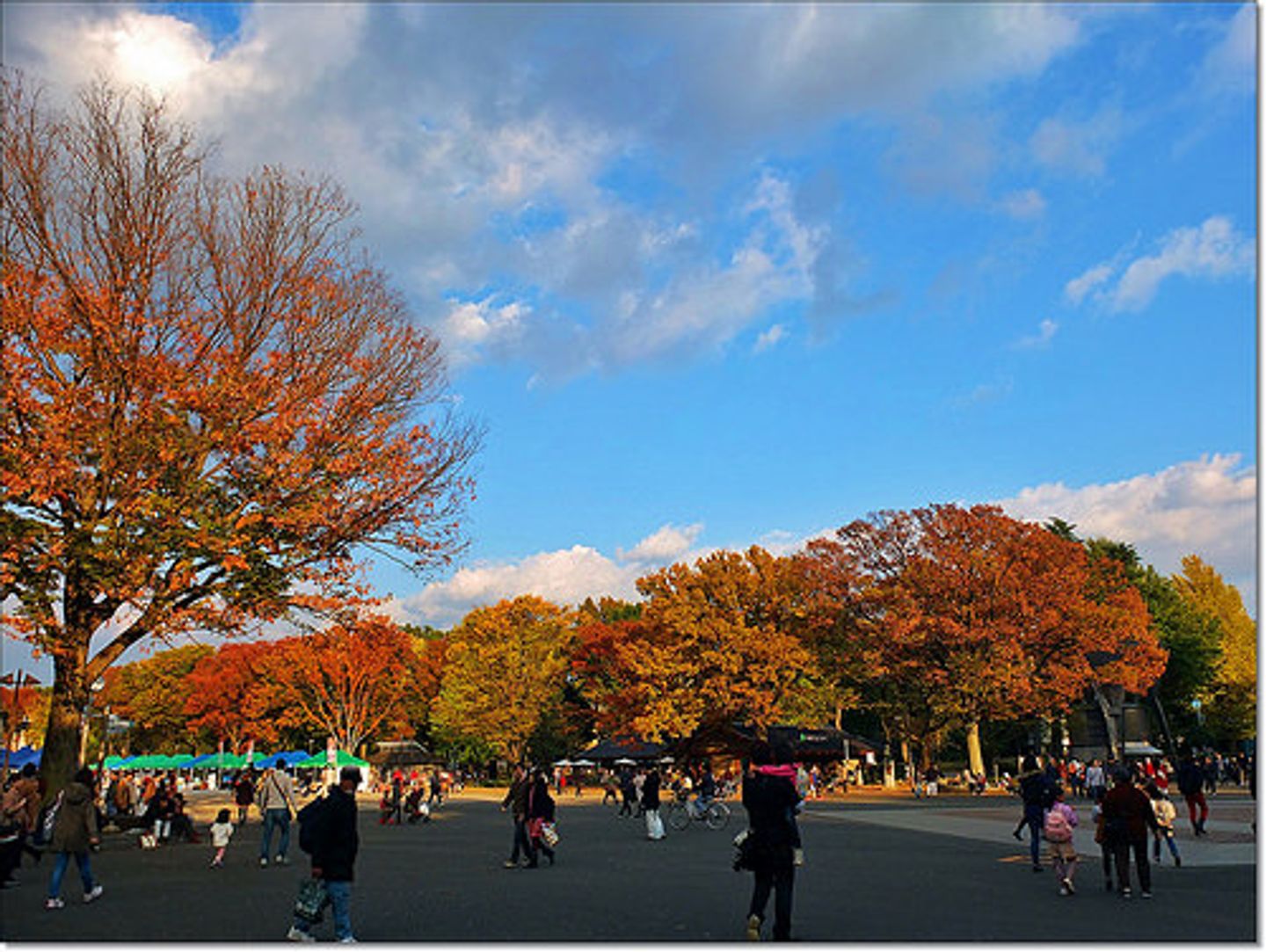 日本東京 13年東京賞楓day4 秋 上野公園散策 日本 東京 關東 旅行酒吧