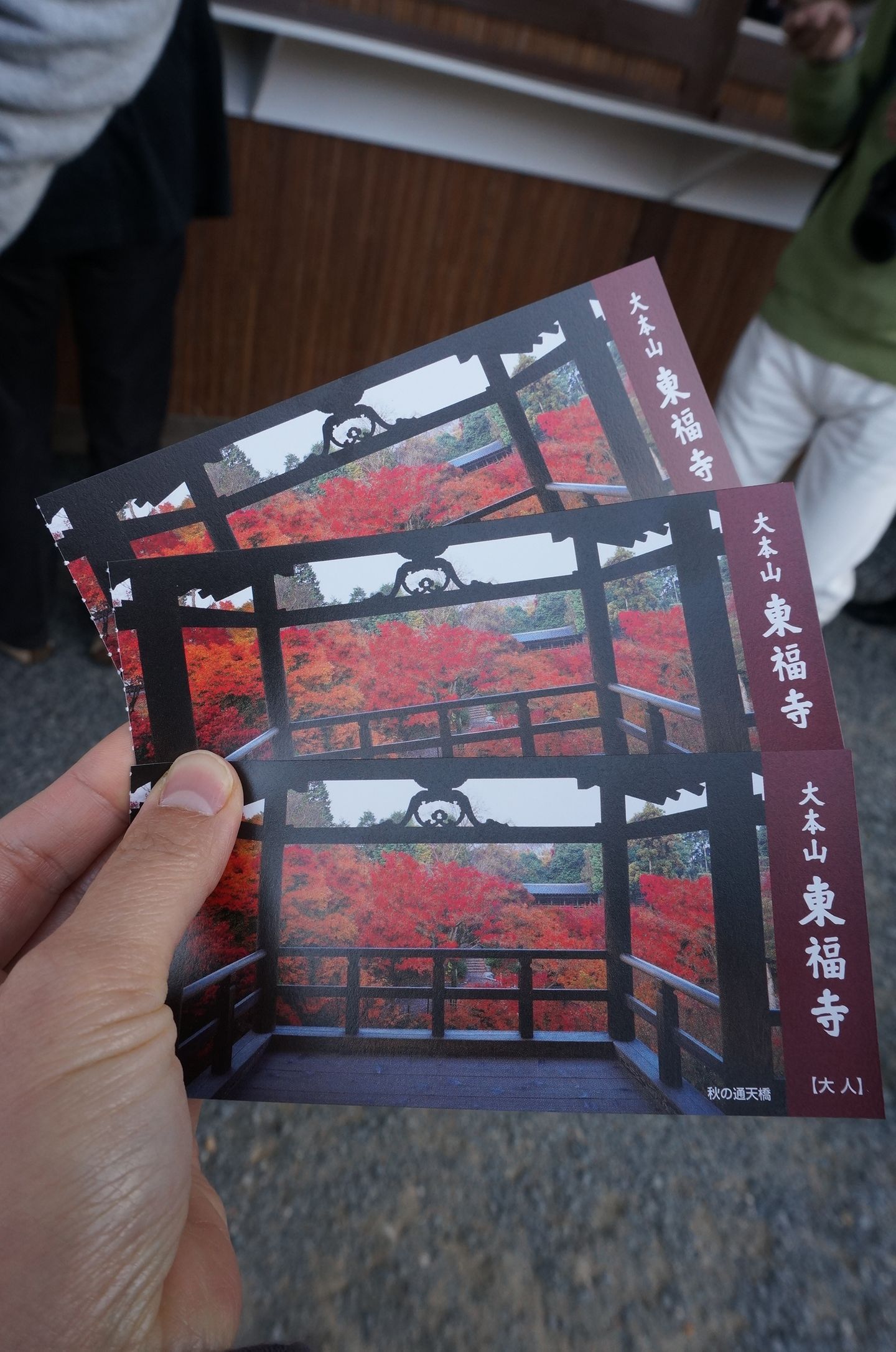 京都 紅葉紅到爆炸的東福寺 日本 關西 旅行酒吧