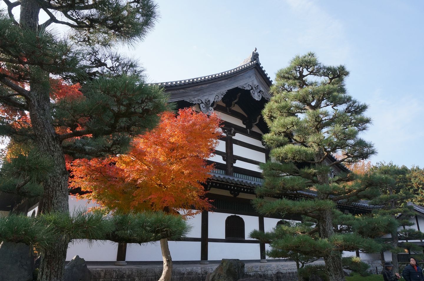 京都 紅葉紅到爆炸的東福寺 日本 關西 旅行酒吧