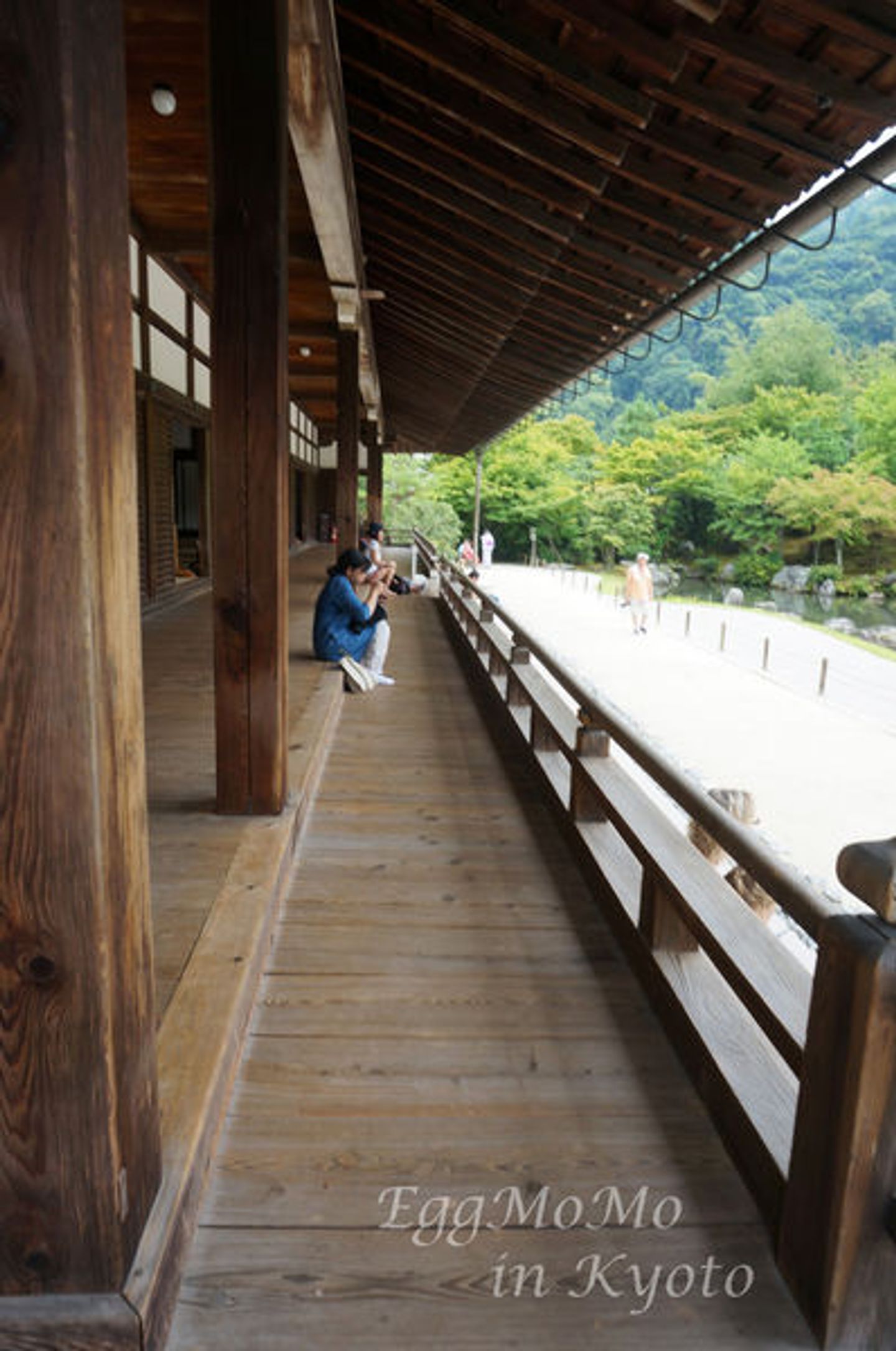 坐在嵐山天龍寺的大方丈迴廊靜看曹源池庭園 愜意 日本 關西 旅行酒吧