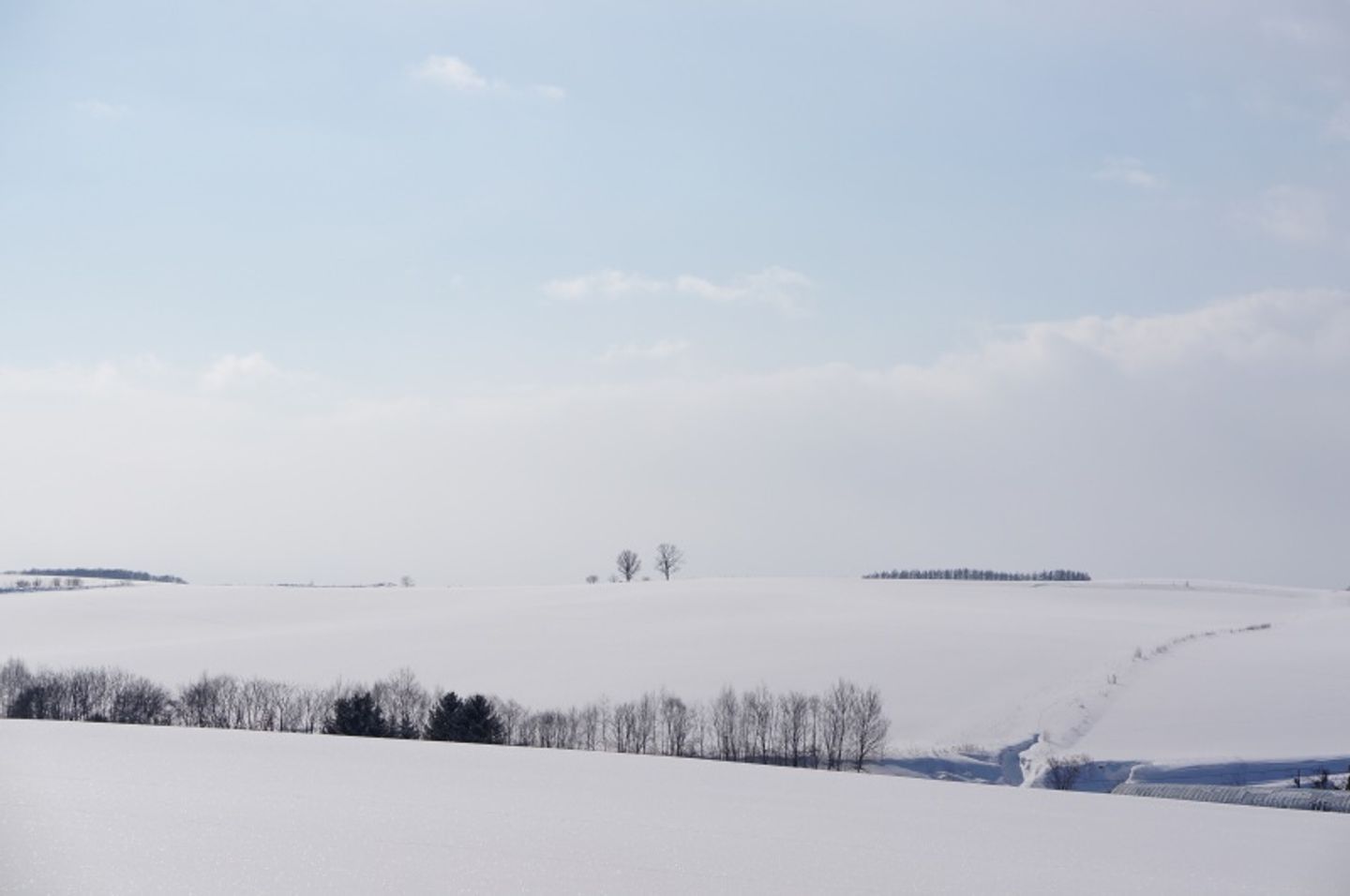 冬北海道 二訪冬日美瑛夢幻雪色 日本 北海道 旅行酒吧