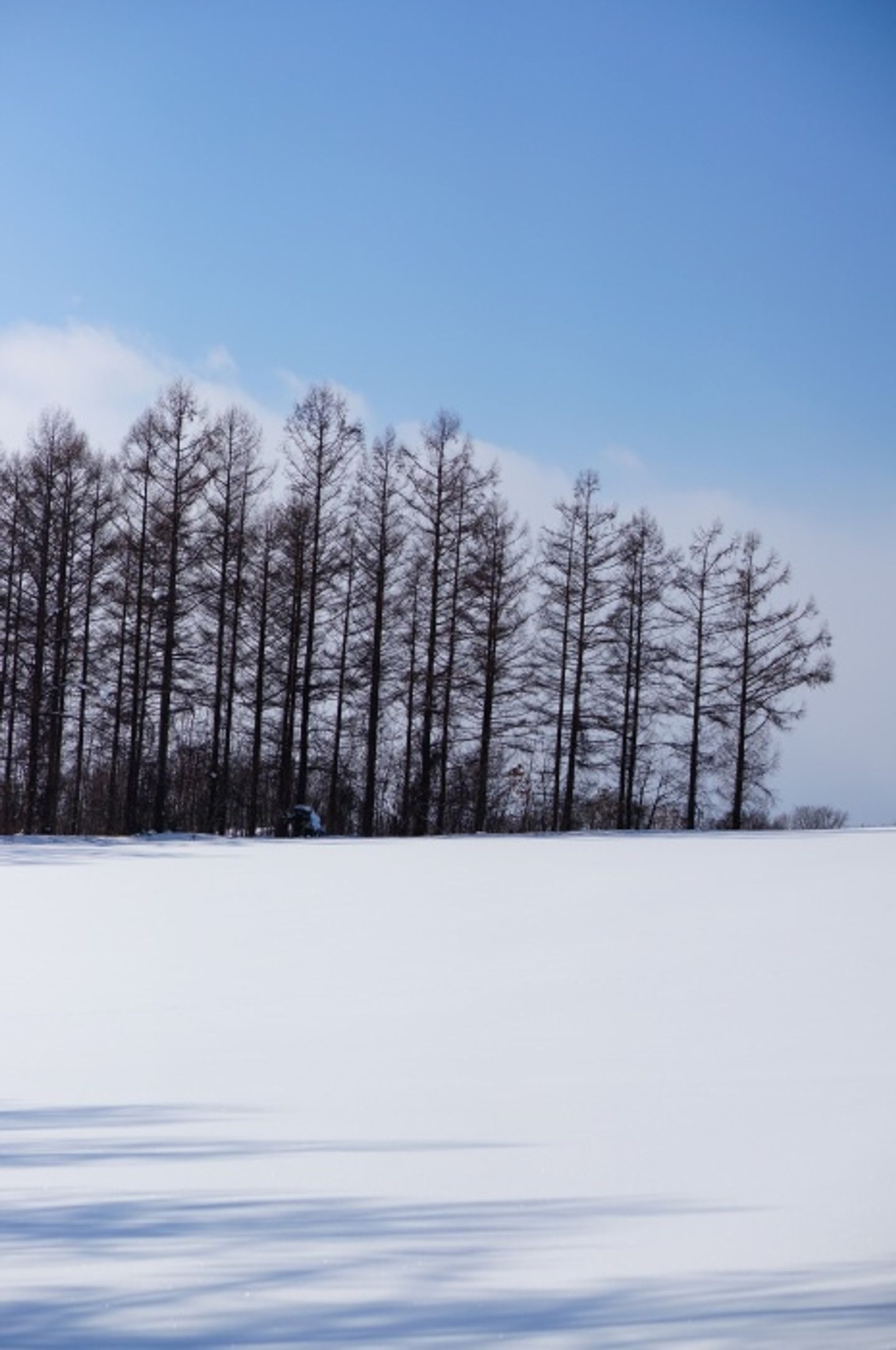 冬北海道 二訪冬日美瑛夢幻雪色 日本 北海道 旅行酒吧