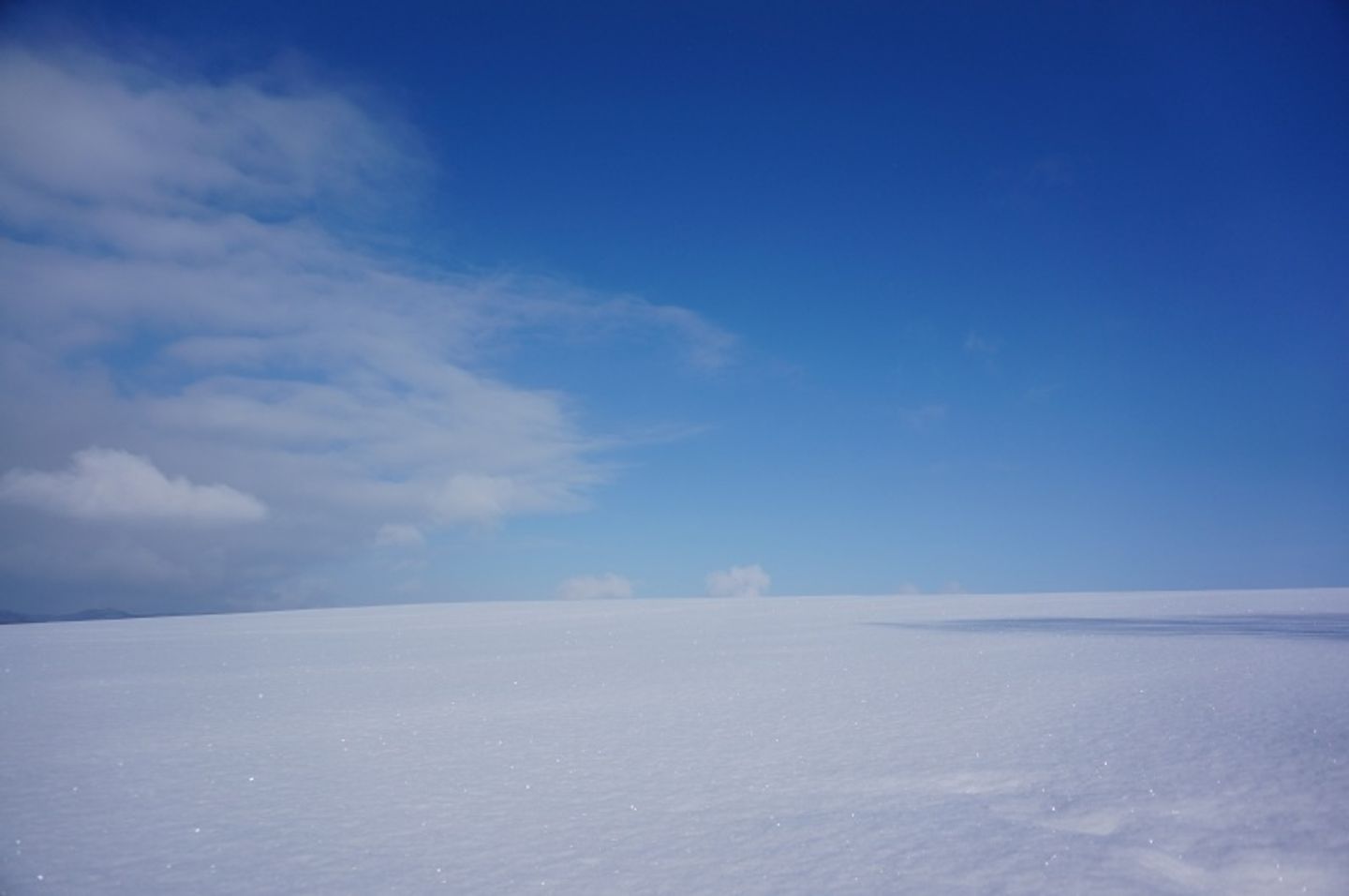 冬北海道 二訪冬日美瑛夢幻雪色 日本 北海道 旅行酒吧