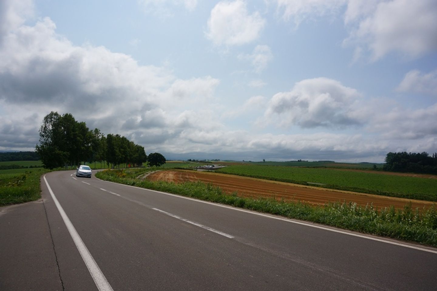 北海道 美瑛拼布之路パッチワークの路 日本 北海道 旅行酒吧