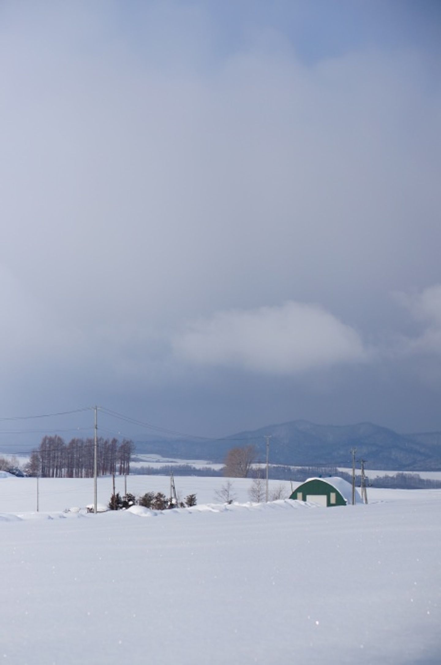 冬北海道 二訪冬日美瑛夢幻雪色 日本 北海道 旅行酒吧