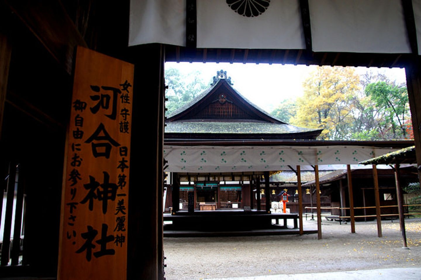 在下鴨神社旁的糺之森漫步意外發現日本第一美麗神 河合神社 動手繪製鏡繪馬祈求美麗 日本 關西 旅行酒吧