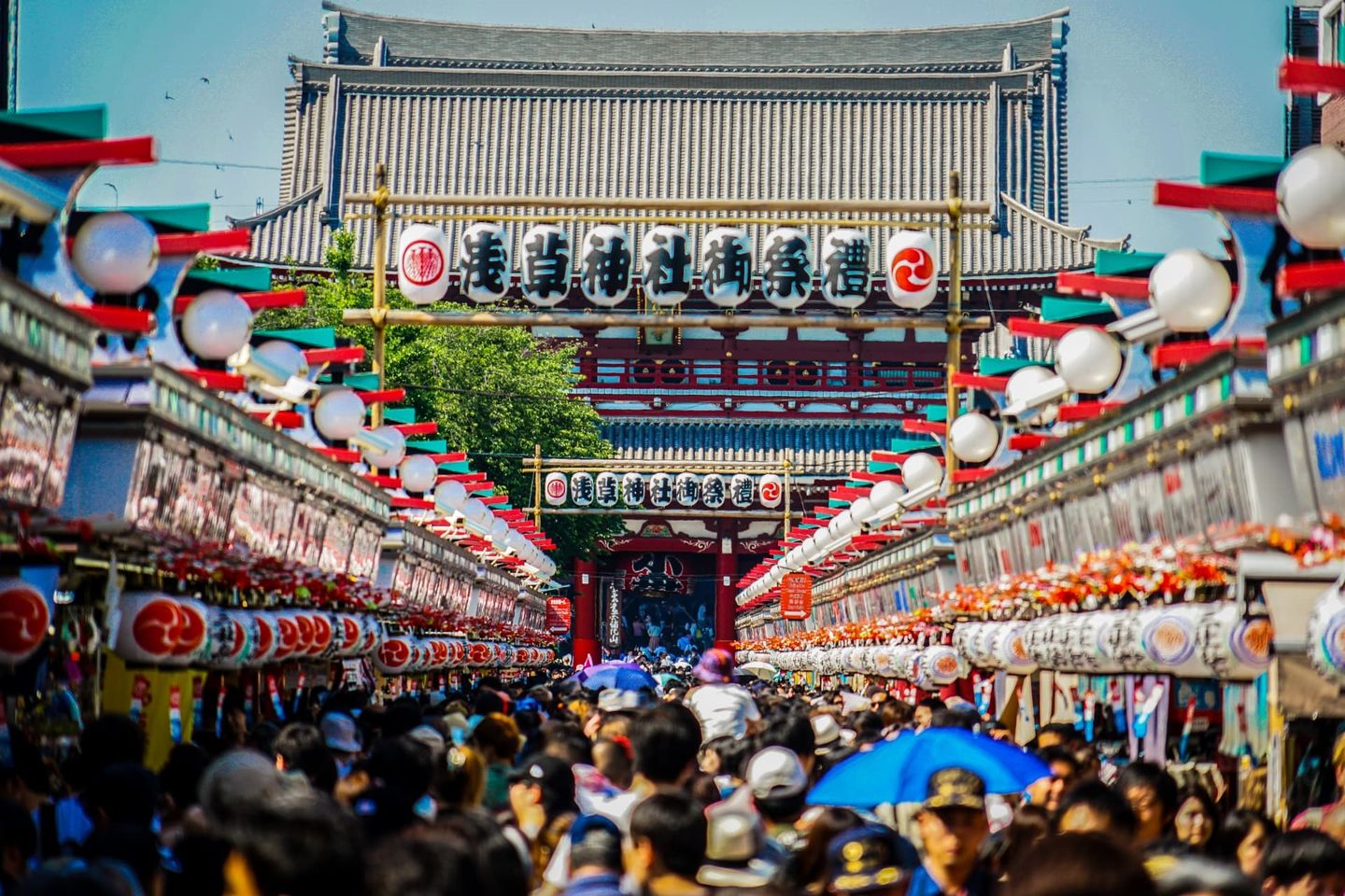 東京淺草 三社祭 名列江戶三大祭典 每年吸引0萬遊客 正式慶典延至10月登場 日本 東京 關東 旅行酒吧