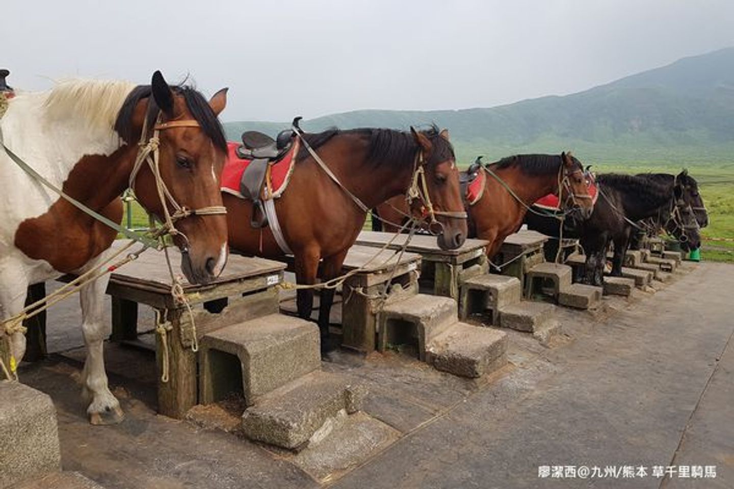 帶孩子一起去日本139 九州環島自駕遊 熊本 18 07 騎馬體驗的大草原 阿蘇山草千里 日本 九州 旅行酒吧