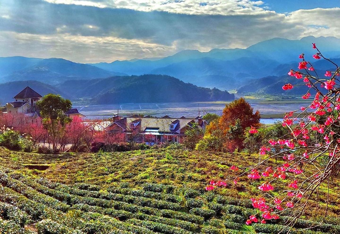 太平山雅廬景觀渡假別墅