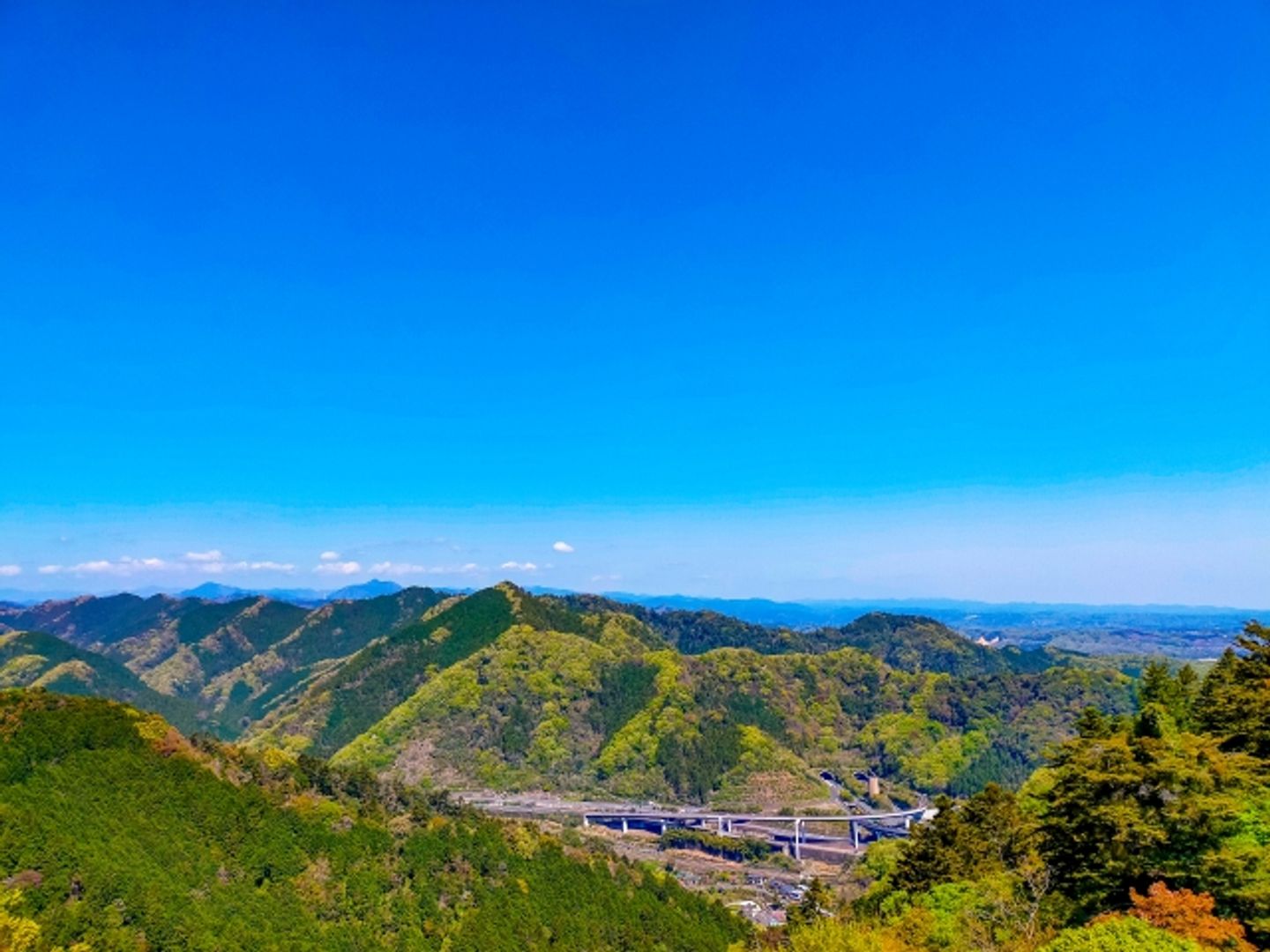 高尾山