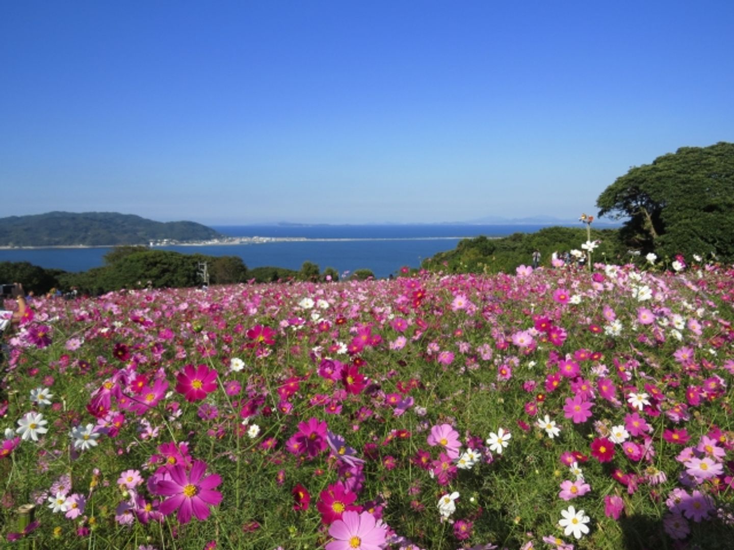 能古島海島公園