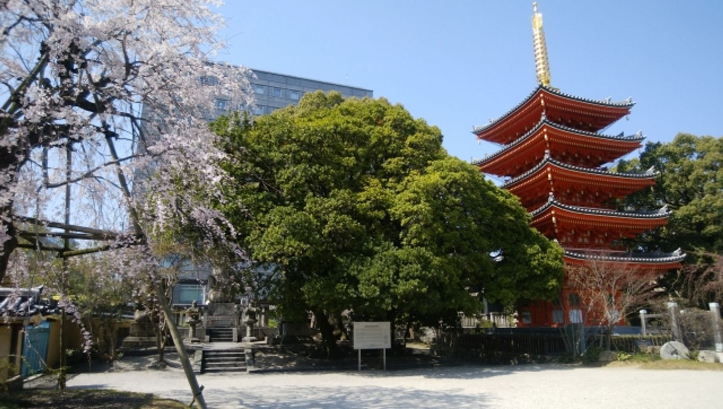 東長寺