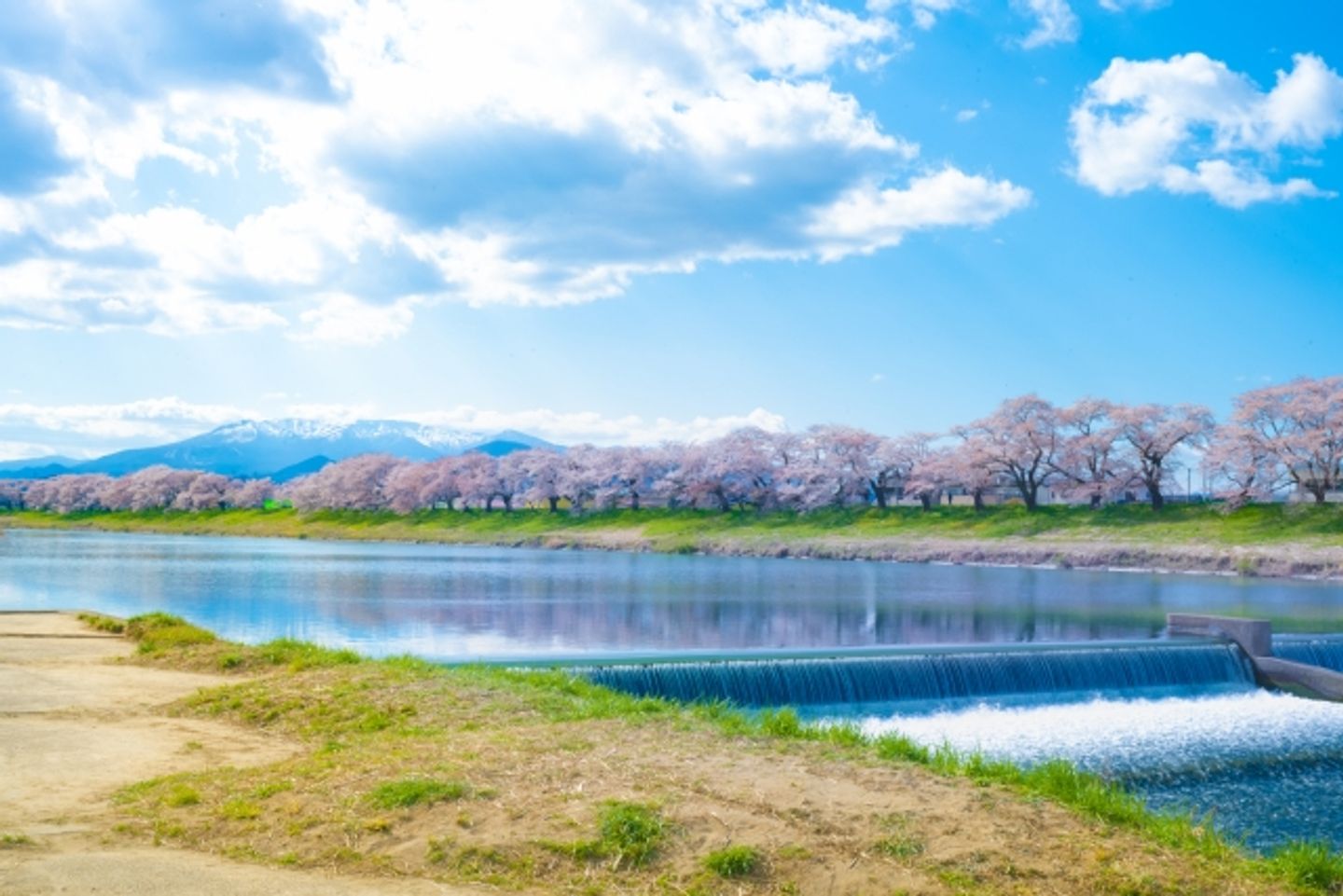 日本東北自由行的玄關口 仙台必去景點懶人包