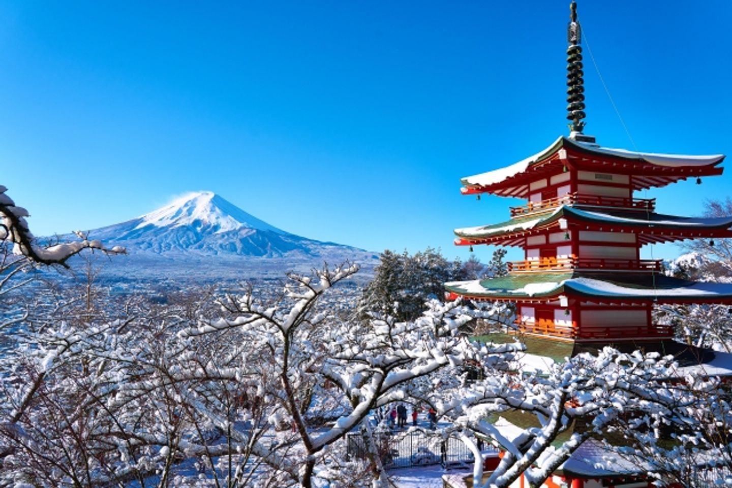 富士山