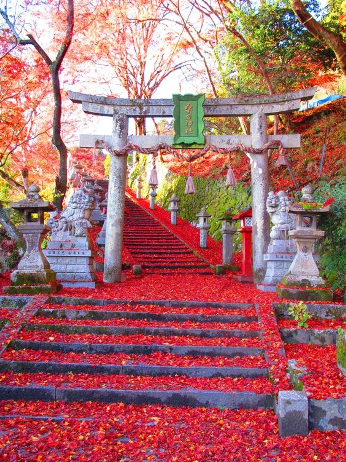 日本の神社 全121冊セット ディワゴスティーニ - 雑誌