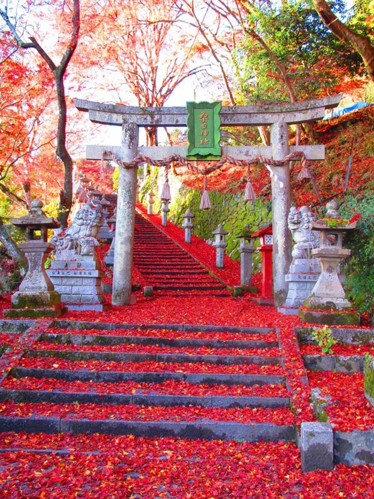 週刊「日本の神社」 120冊 - ノンフィクション/教養