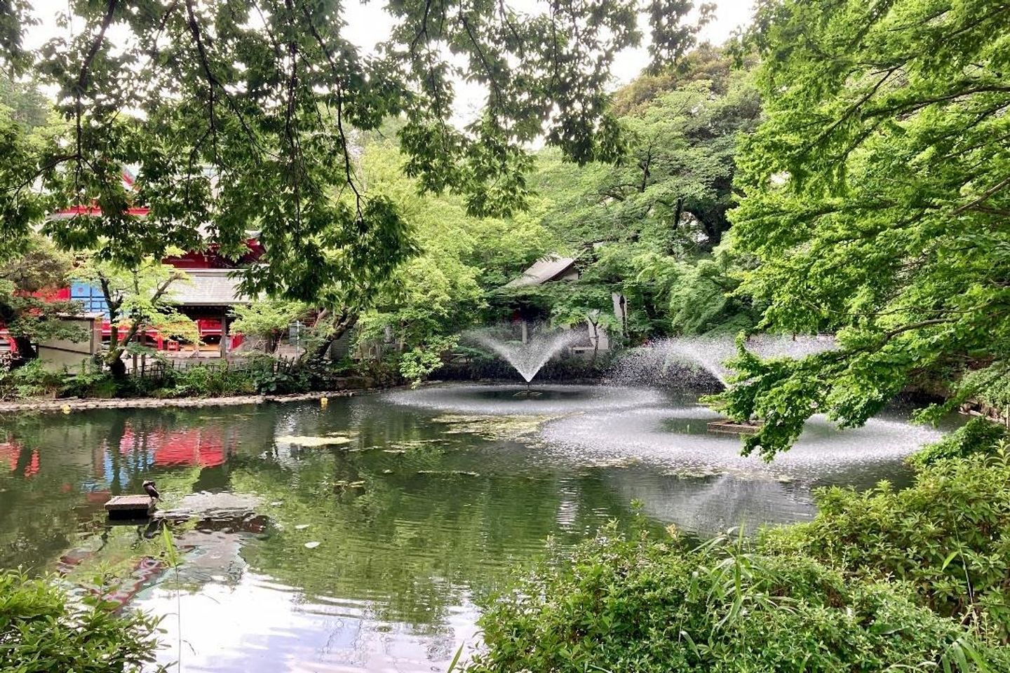 吉祥寺美食之旅 網羅銅板小吃至人氣餐廳 日本人都排隊的吉祥寺隱藏版特色美食大公開 日本 東京 關東 旅行酒吧