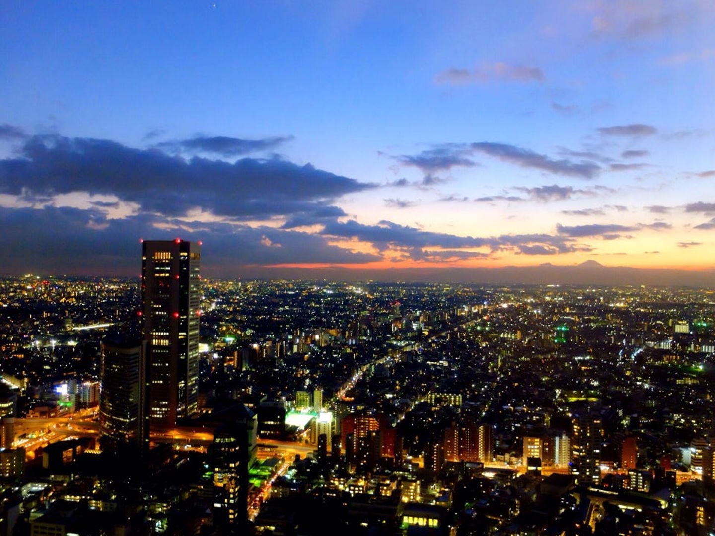 東京都廳展望台