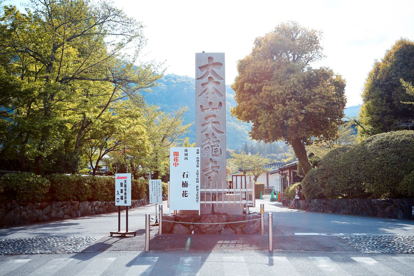 京都 值得一去再去的京都市郊 嵐山竹林 日本 關西 旅行酒吧