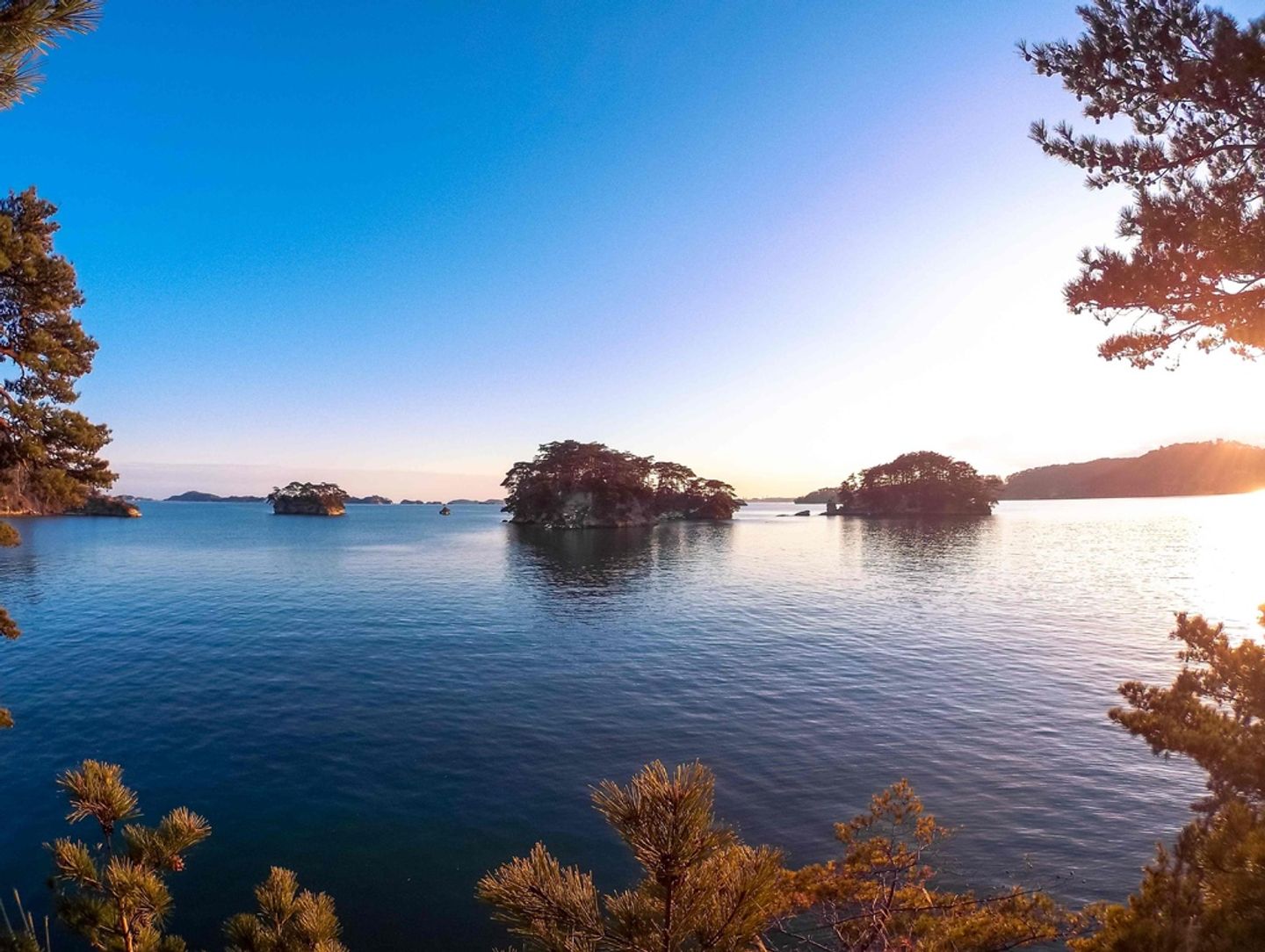 日本絕景】宮城縣，松島。隨著季節轉換充滿紫色迷幻的松島灣，不虛此行