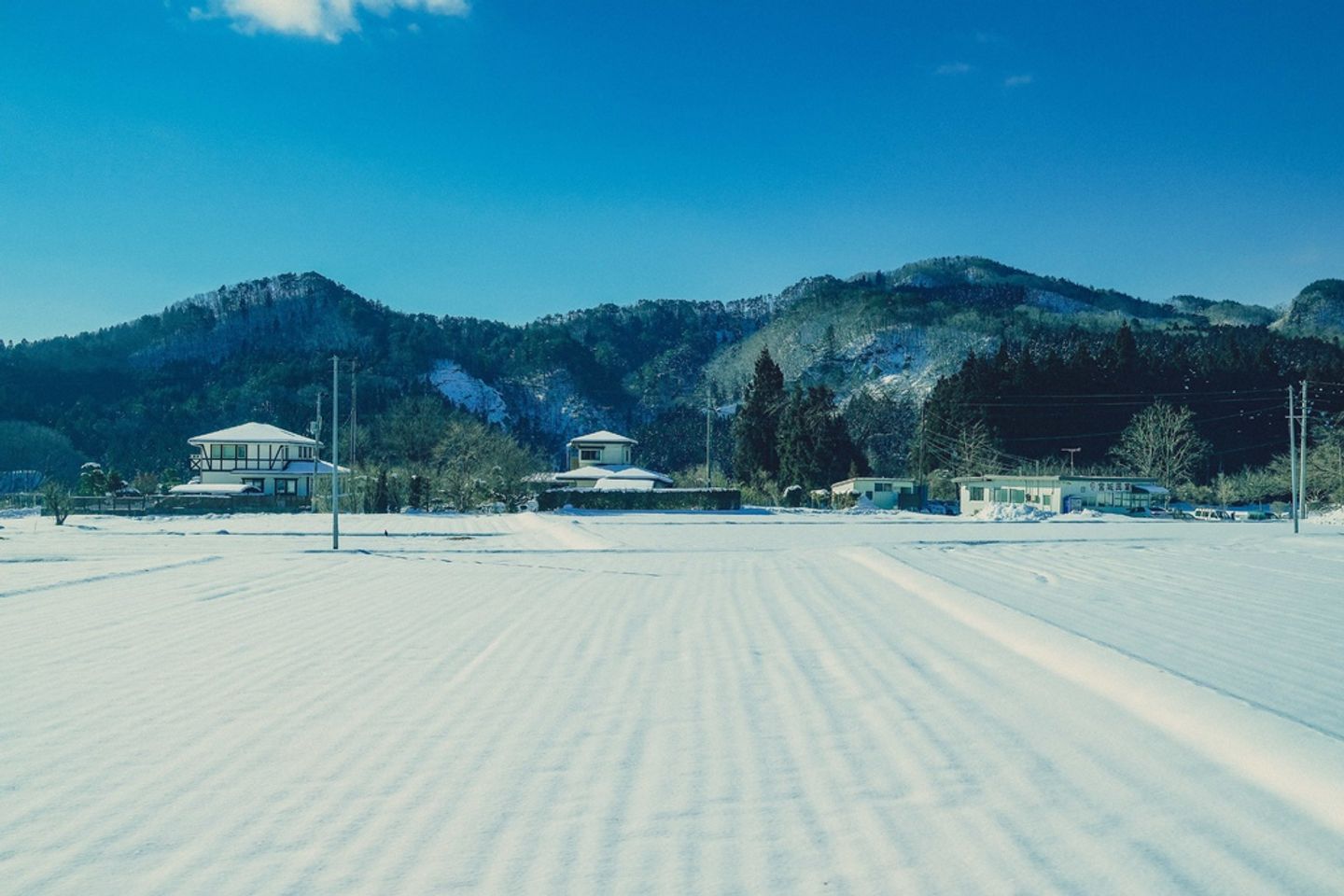 日本絕景 山形縣 山寺 登高望遠一場驚心動魄的絕美雪景 日本 東北 旅行酒吧