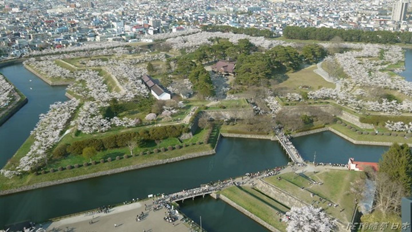 北海道春季 4月 6月賞花季花期一覽 日本 北海道 旅行酒吧