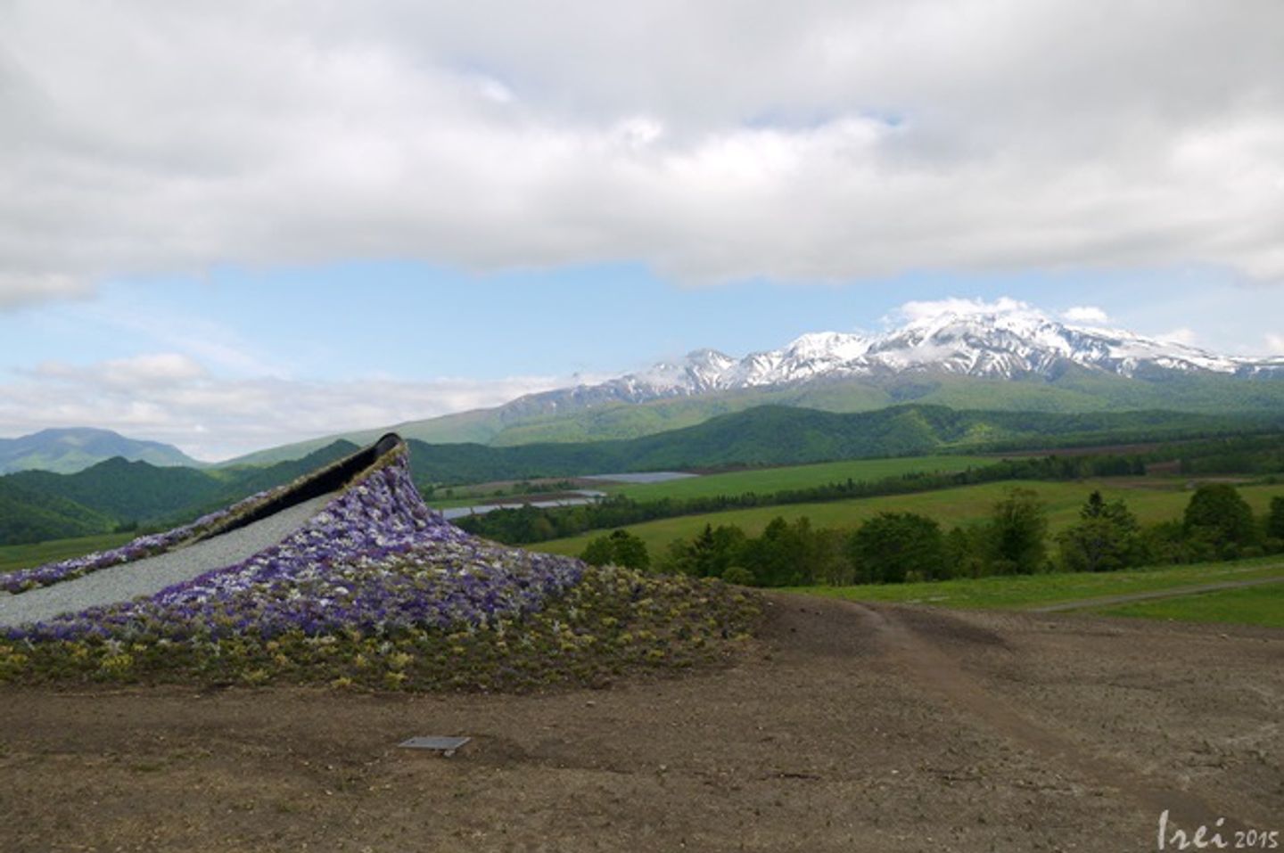 北海道春季 4月 6月賞花季花期一覽 日本 北海道 旅行酒吧