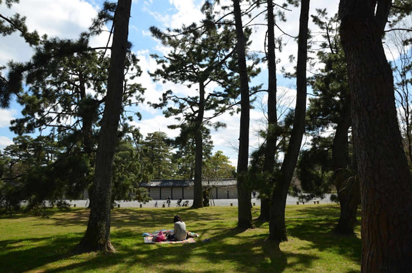 京都景點 京都御苑近衛邸跡 出水的小川早春櫻花 日本 關西 旅行酒吧