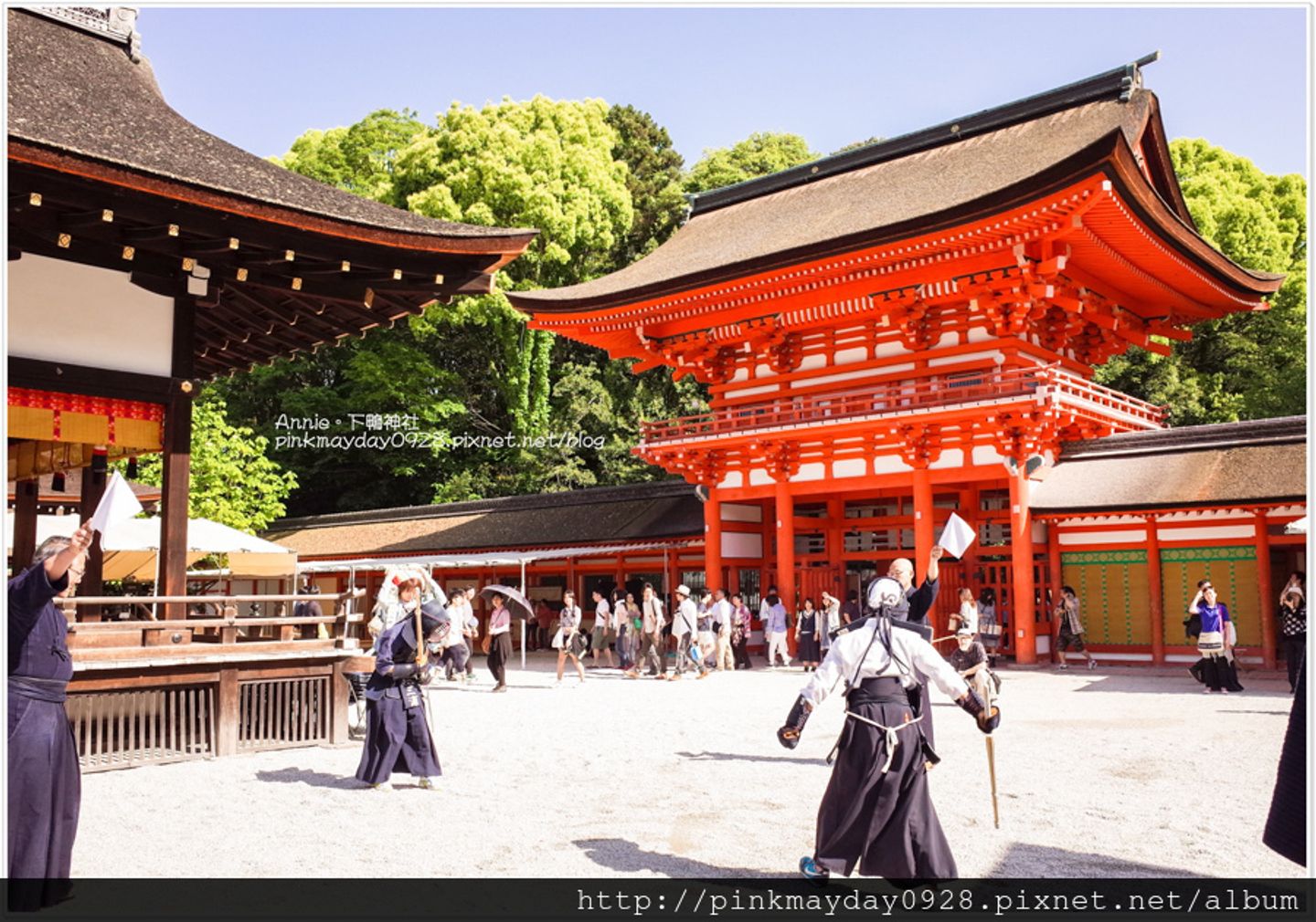 京都 春季的神社綠意盎然巧遇古武道大會活動還有大自然給予的御手洗池洗淨保健康無災噢 下鴨神社 日本 關西