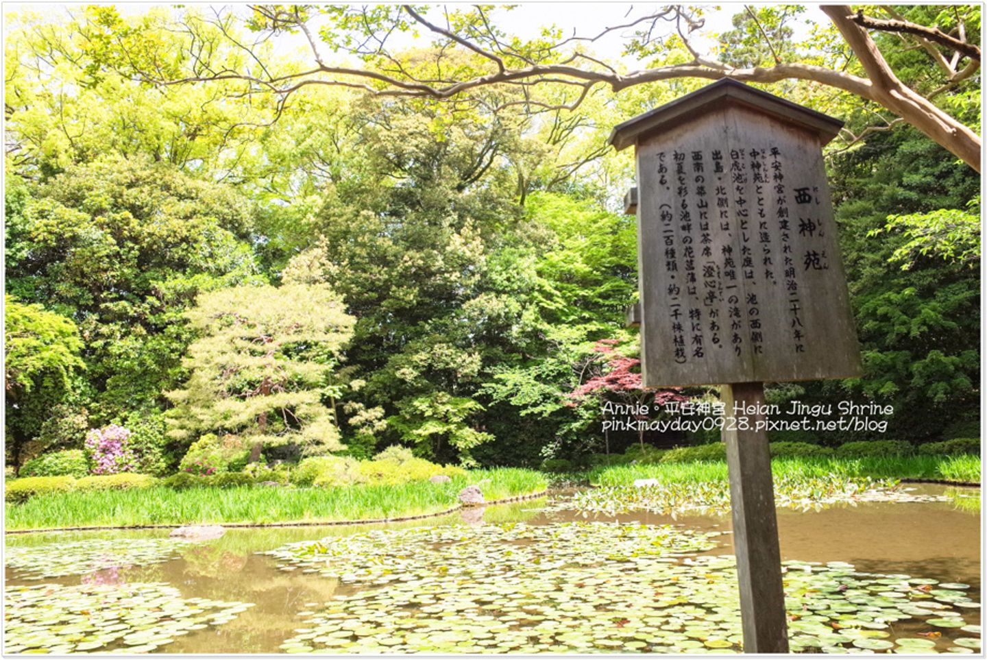 京都 全京都最大鳥居 占地廣闊重現平安時代皇城模樣一年四季皆有不同美景 平安神宮 陸安妮