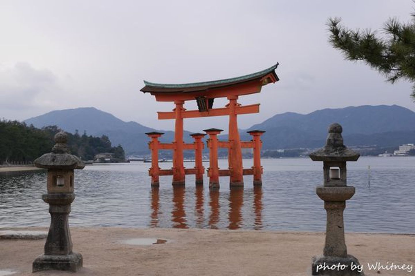 廣島宮島 嚴島神社 名聞遐邇的海上大鳥居 日本 中國地方 旅行酒吧