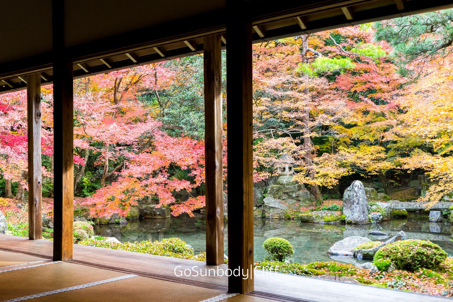 屬於京都的顏色 精選5大紅葉盛地 日本 關西 旅行酒吧