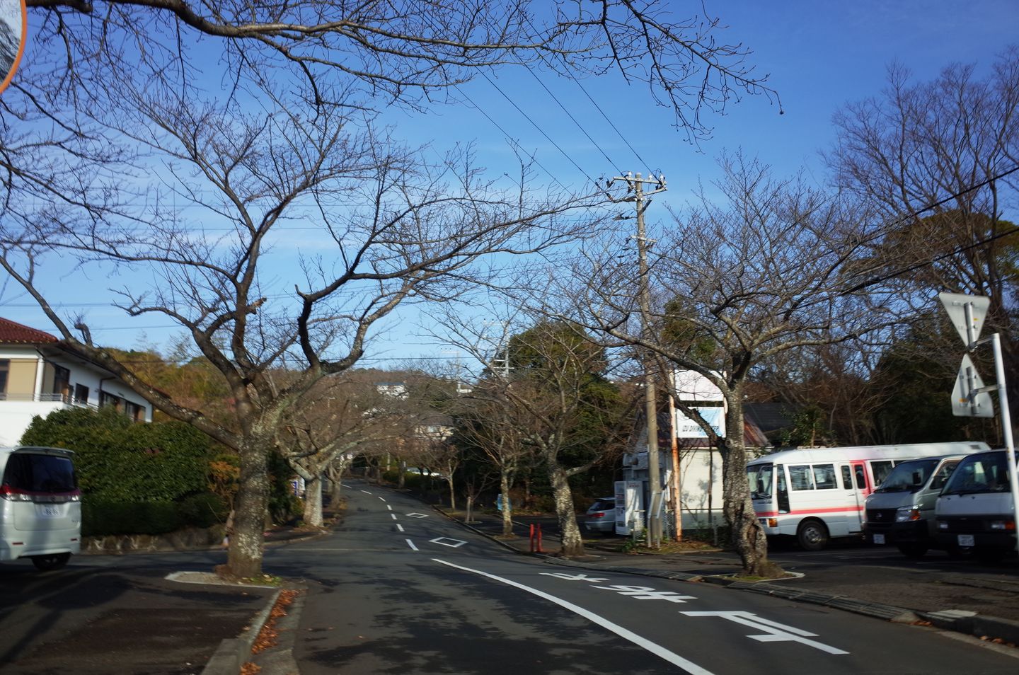 東海 靜岡 靜岡 伊豆小旅行 靜岡進出 第4天城崎海岸 大室山 仙人掌公園 王思思 9339