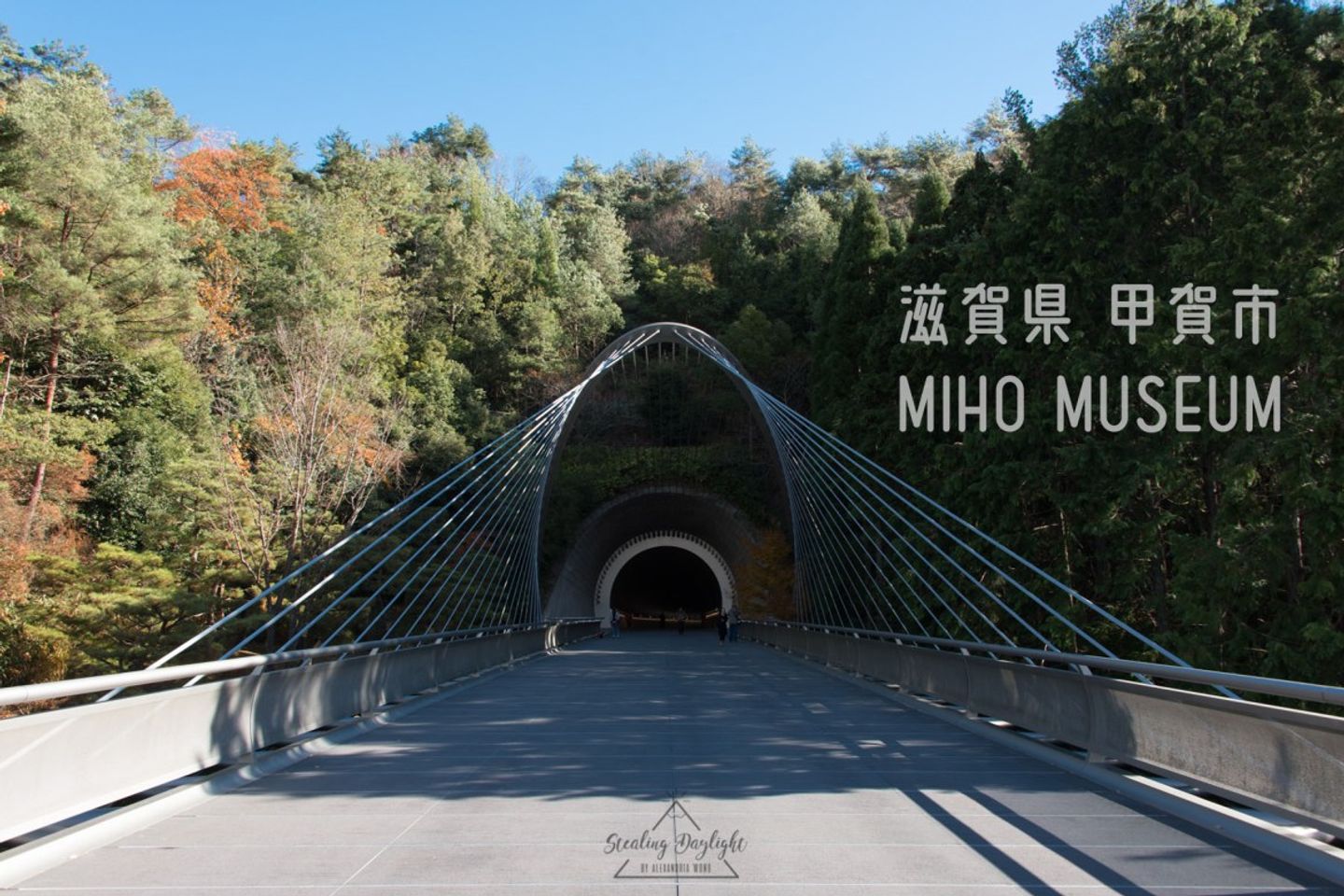 滋賀| 美秀美術館MIHO MUSEUM | 貝聿銘的桃花源記– 遊記+交通方式(更新